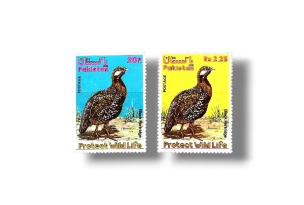 1975 PK395s Wild Life series 1 Black Francolin