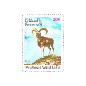 1975 PK400 Wild Life Series Urial