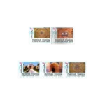 1984-PK661s-Pakistan-Tourism-Convention-Shahjahan-Mosque-Thatta.webp