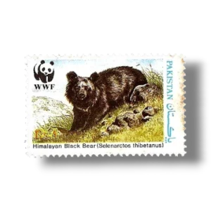 1989 PK781 Wildlife protection Asiatic Black Bear