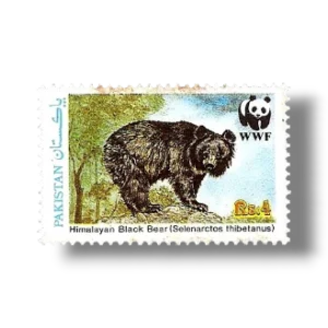 1989 PK782 Wildlife protection Asiatic Black Bear