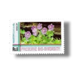 1994-PK915-Biological-Diversity-Convention-Ratan-Jot-flower-.webp