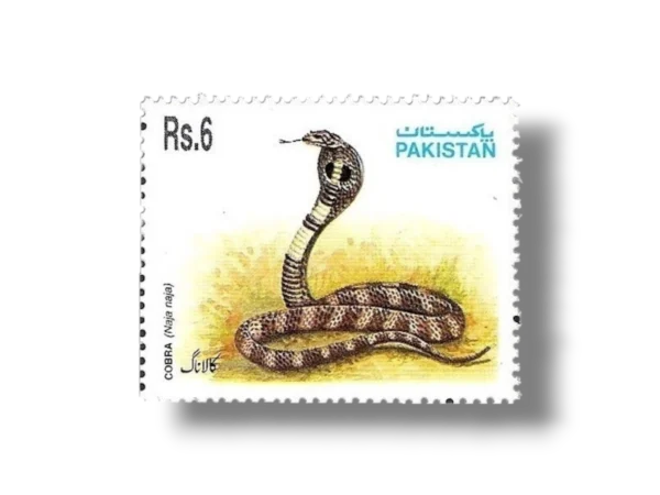 1995 PK954 Snakes Indian Cobra (Naja naja)
