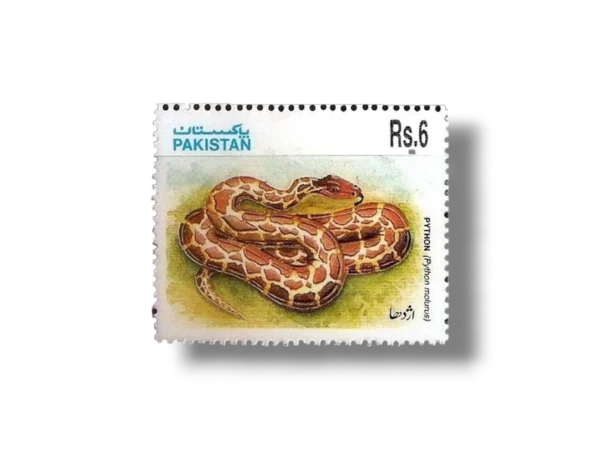 1995 PK955 Snakes Indian Rock Python (Python molurus)