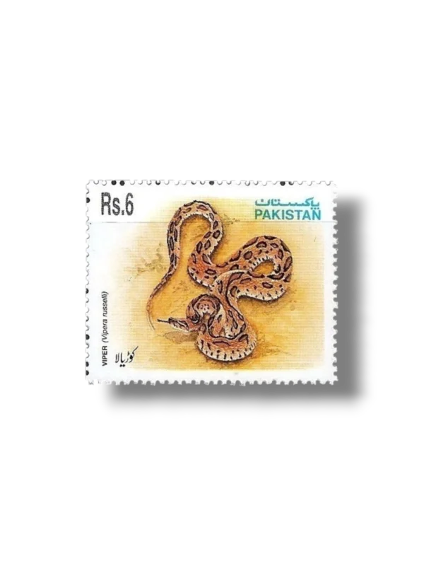 1995 PK956 Snakes
