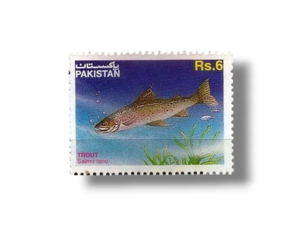 1995 PK965 Brown Trout Salmo trutta f fario