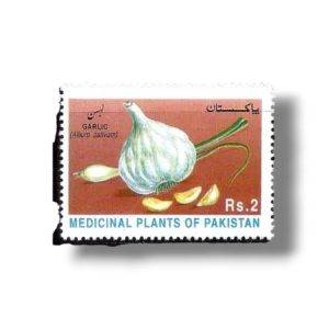 1997 PK1026 Medicinal Plants PK1026 Garlic