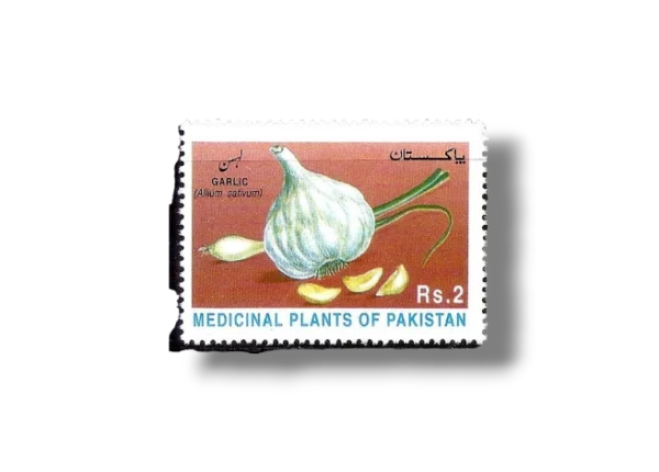 1997 PK1026 Medicinal Plants PK1026 Garlic