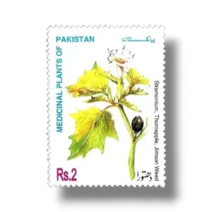 1998 PK1037 Medicinal Plants Thornapple