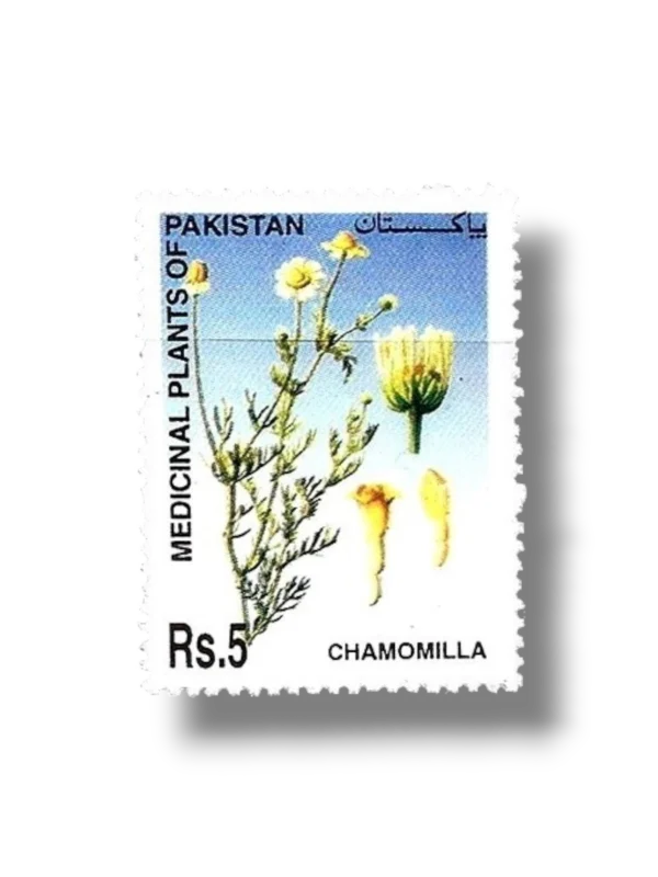 2006 Pk1334 Medicinal Plants of Pakistan Chamomilla