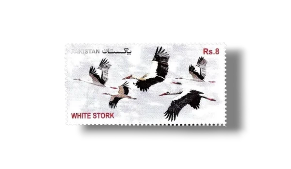 2012 PK1460 Migratory Birds White Stork Ciconia ciconia