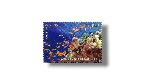 2012 PK1464 The Arabian Sea Coral Reefs