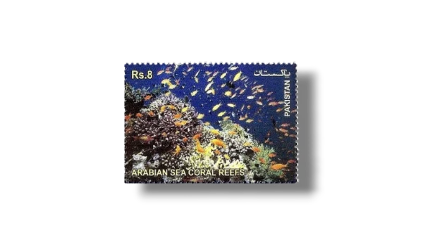 2012 PK1465 The Arabian Sea Coral Reefs