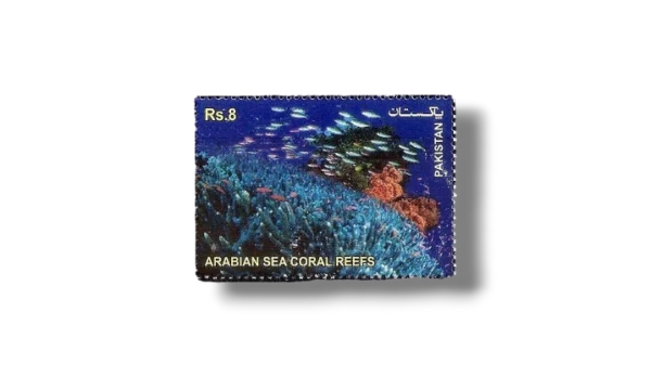 2012 PK1467 The Arabian Sea Coral Reefs