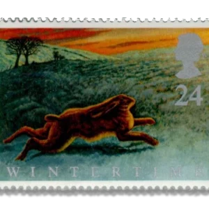 1992 GB1588 European Hare (Lepus europaeus)