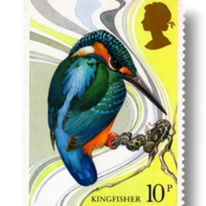 Kingfisher