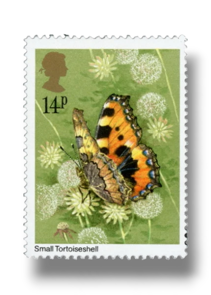 Tortoiseshell