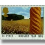 Cornfield