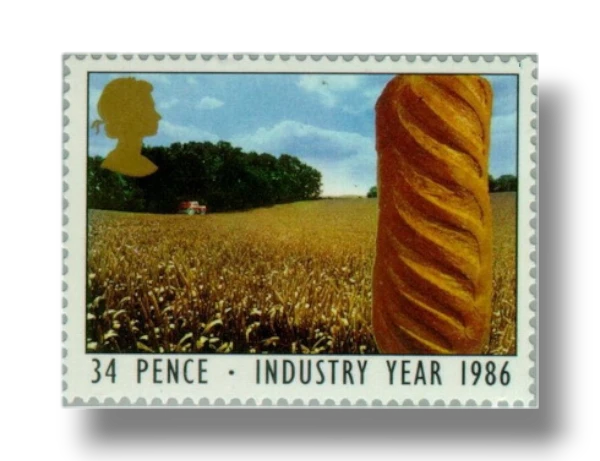 Cornfield