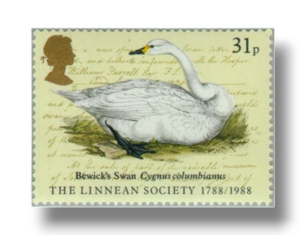 Edward Lear
