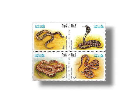 PK956s Snakes
